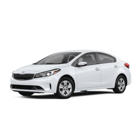 Picture for category Forte