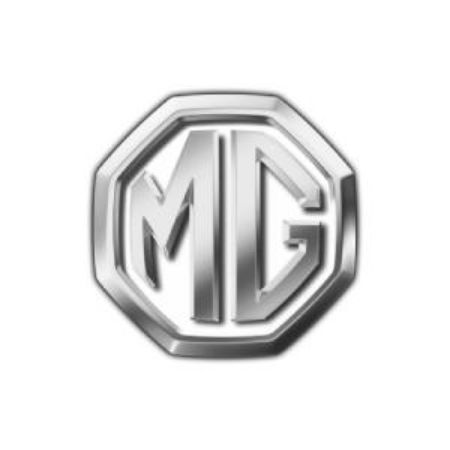 Picture for category MG