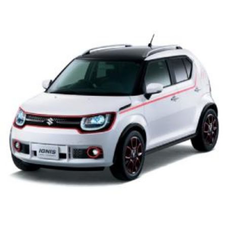 Picture for category Ignis